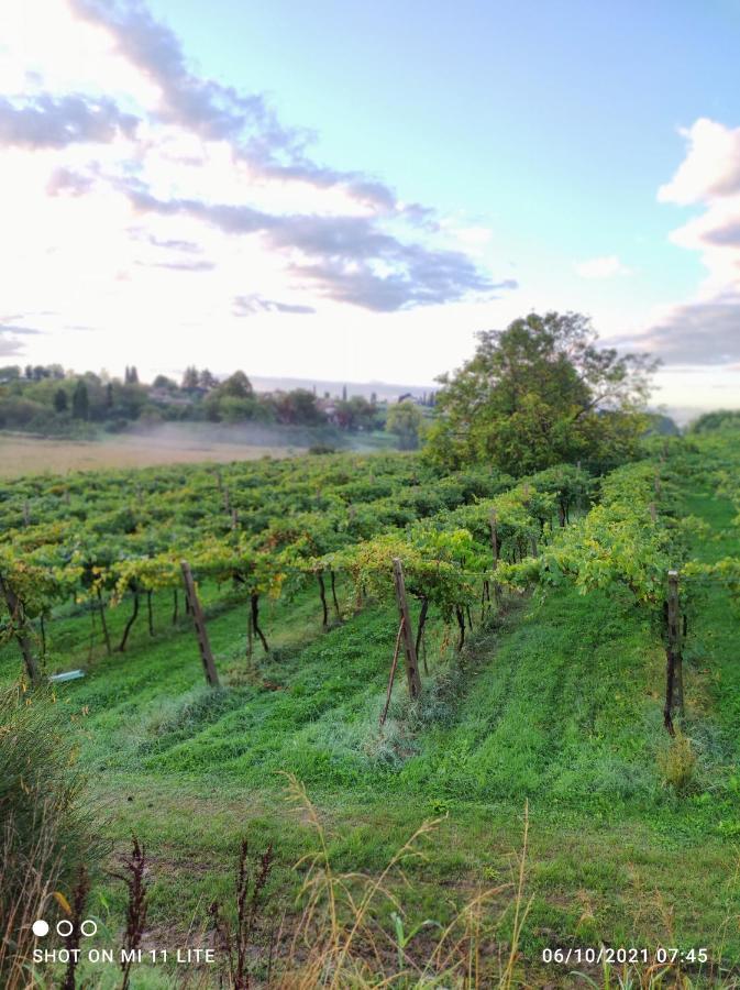 Agriturismo Al Dugale Lazise Eksteriør bilde