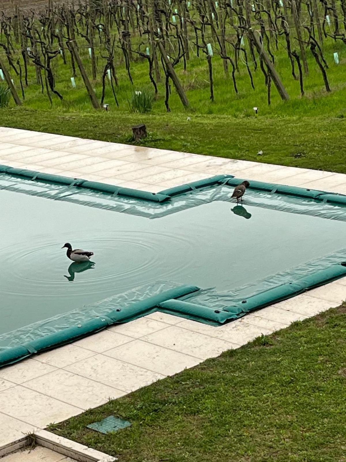 Agriturismo Al Dugale Lazise Eksteriør bilde